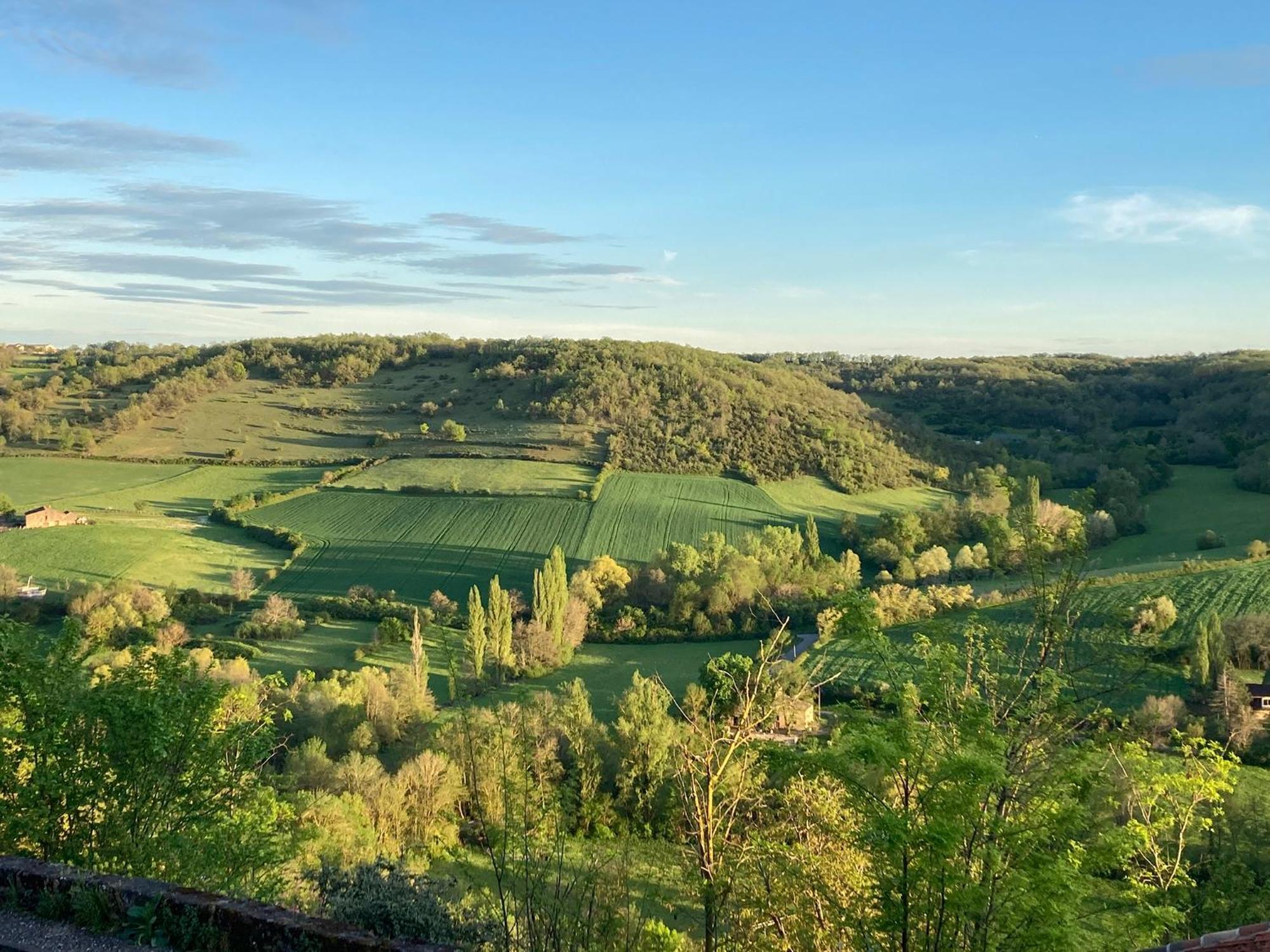 Le Secret Du Chat Cordes-sur-Ciel Buitenkant foto
